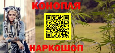 крисы Обь