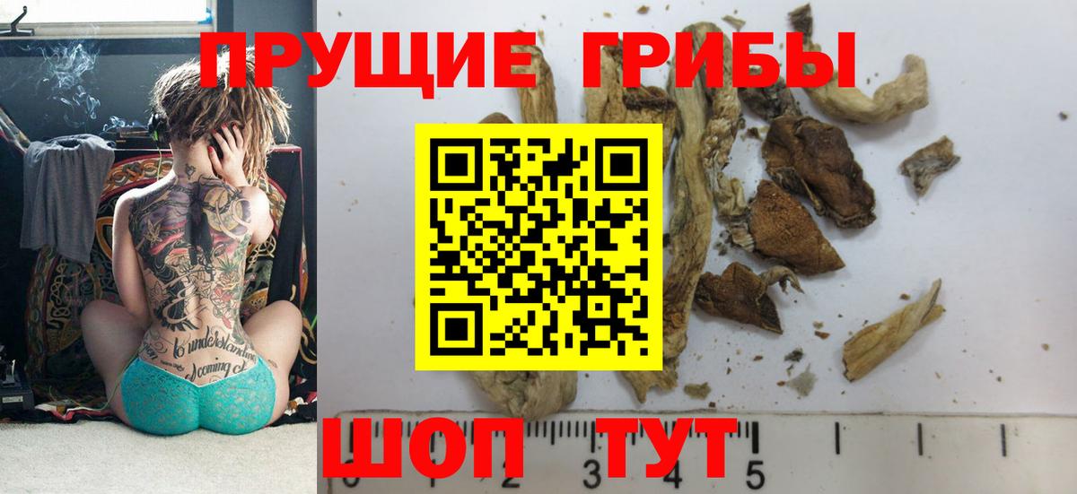 Псилоцибиновые грибы Psilocybe  Вход с VPN  Прохладный 